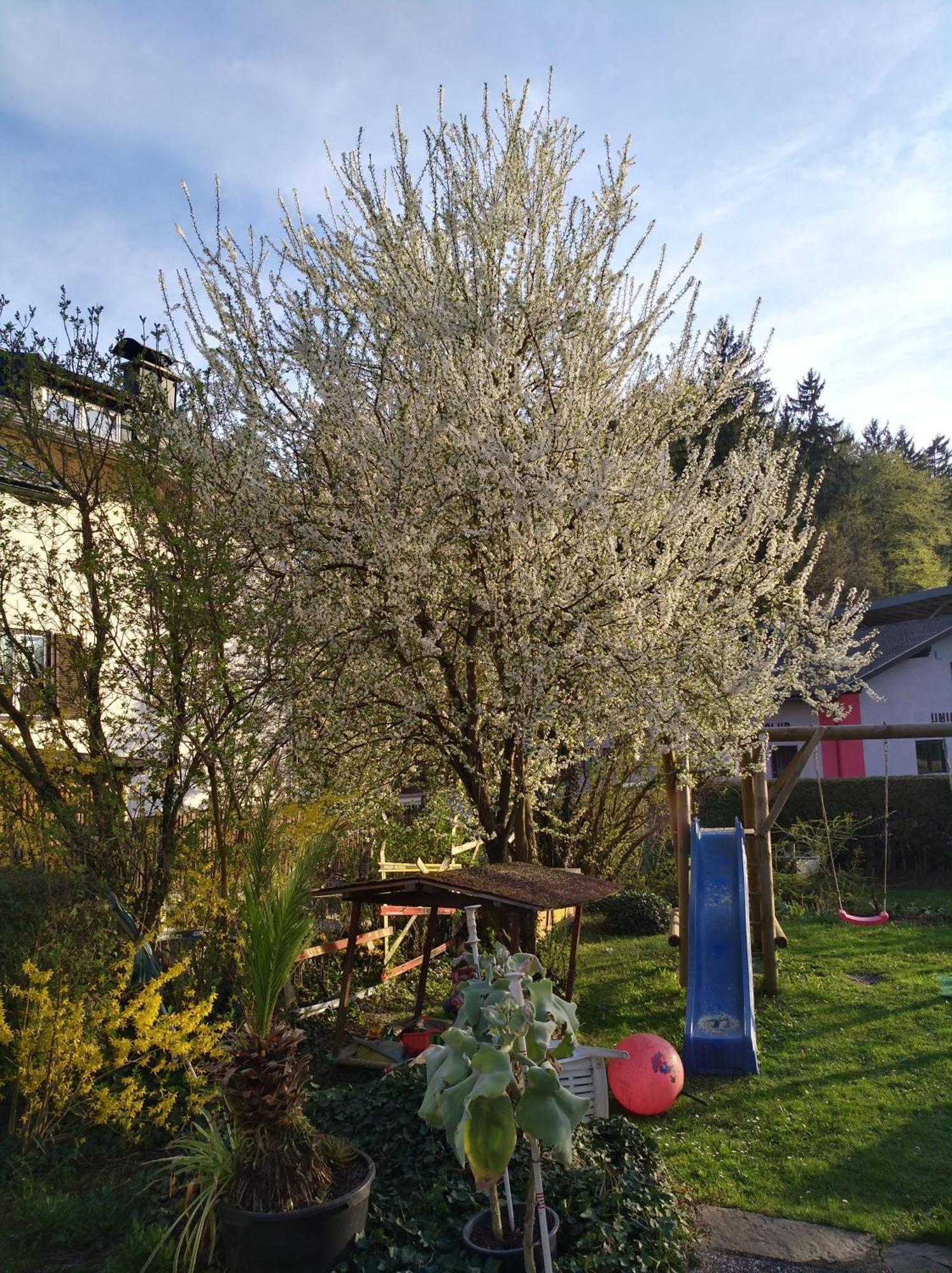 Apartamento Haus Friedburg Velden am Wörthersee Exterior foto